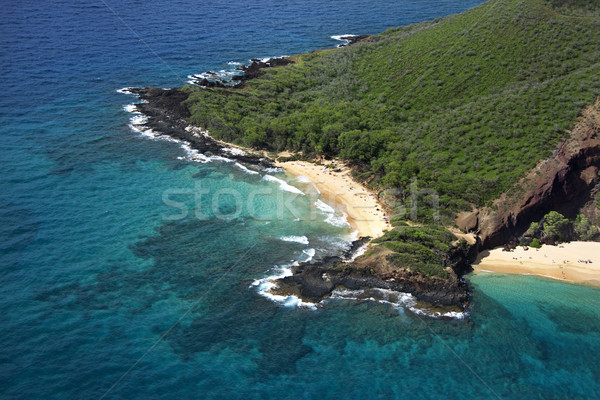 Maui beach. Stock photo © iofoto