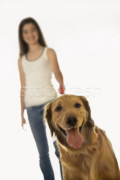 Câine zgarda fată golden retriever adolescent femeie Imagine de stoc © iofoto