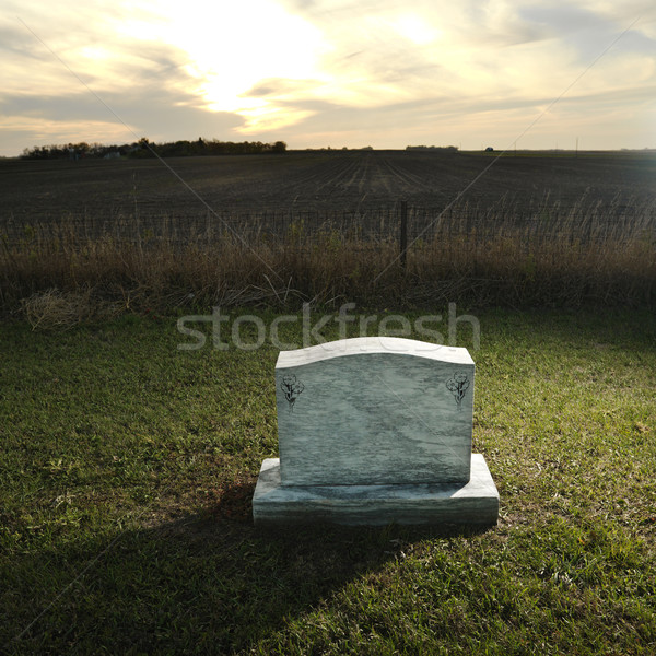 Headstone on rural grave. Stock photo © iofoto