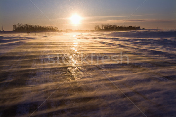 Lodowaty drogowego Świt lodu pokryty słońce Zdjęcia stock © iofoto
