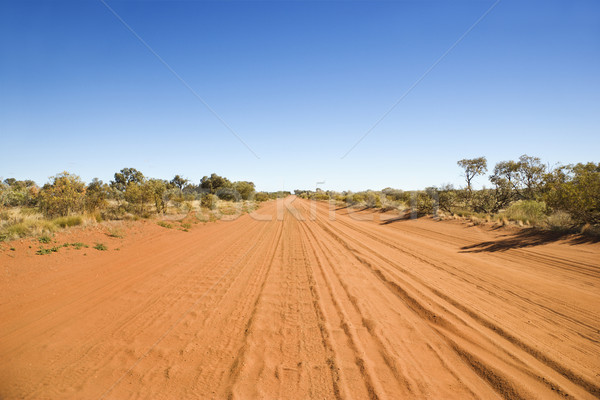 Desert Road Stock photo © iofoto