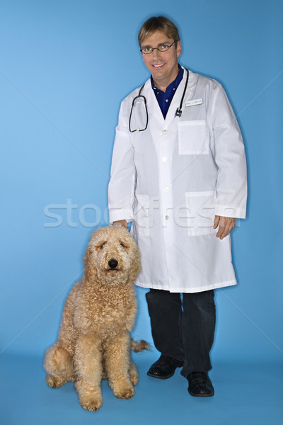 Masculino veterinário cão caucasiano médico Foto stock © iofoto