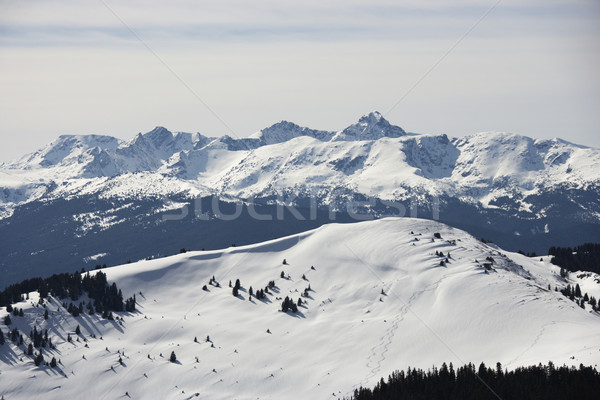 Snow covered mountains. Stock photo © iofoto