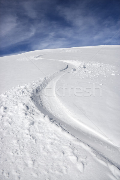 Snowmobile trail. Stock photo © iofoto