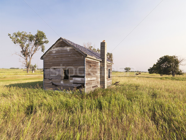 Dilapidated house in field. Stock photo © iofoto