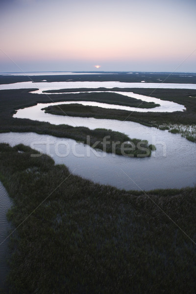 Winding water in marsh. Stock photo © iofoto