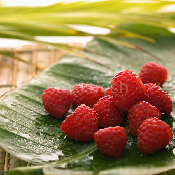 Berry fruit. Stock photo © iofoto