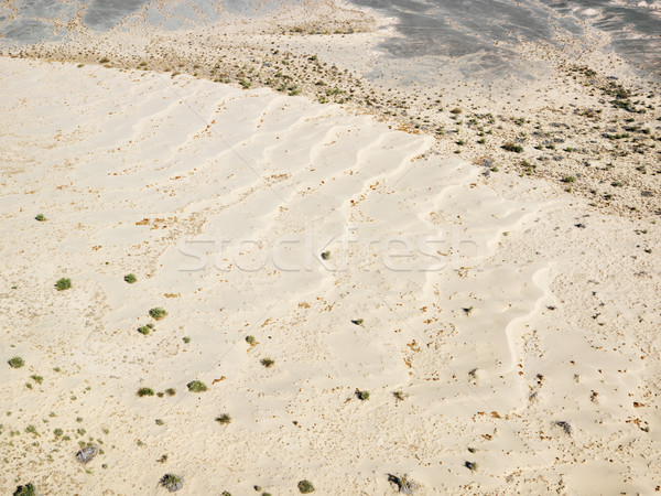 California desert. Stock photo © iofoto