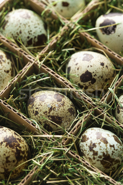 Eieren apart voedsel natuur dieren scheepvaart Stockfoto © iofoto