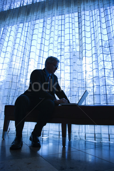üzletember laptop kék kép felnőtt kaukázusi Stock fotó © iofoto