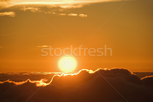 Sun rising over clouds. Stock photo © iofoto