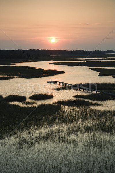 Marsh with pier. Stock photo © iofoto