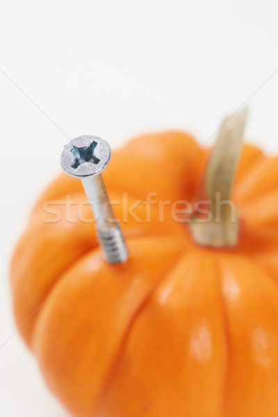 Screw in pumpkin. Stock photo © iofoto