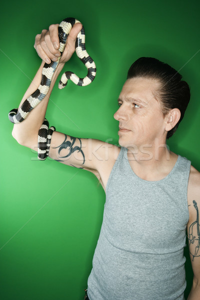 Man holding California Kingsnake. Stock photo © iofoto