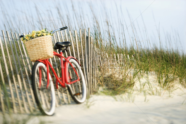 商業照片: 自行車 · 花卉 · 紅色 · 復古 · 籃 · 木