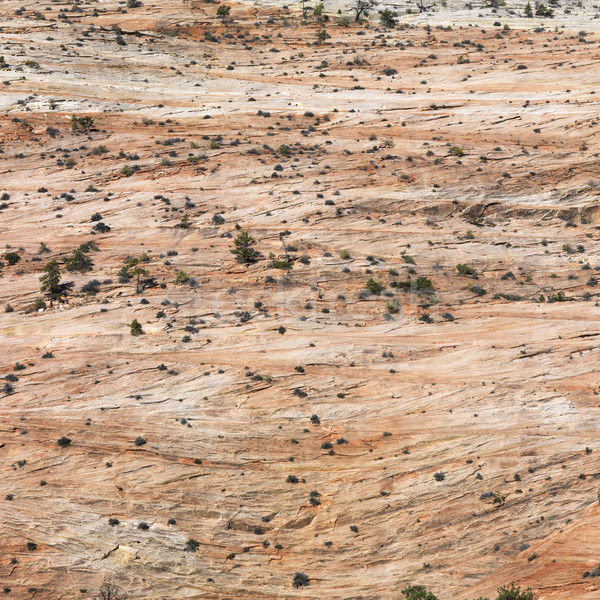 Stock photo: Zion National Park.