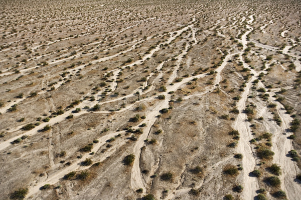 Desierto paisaje ojo fondo color Foto stock © iofoto