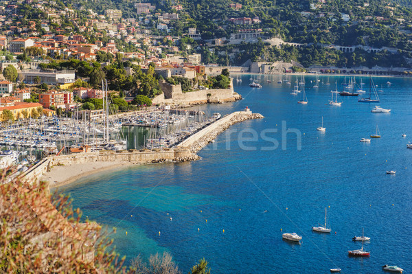 View of Monaco and many yachts Stock photo © Ionia