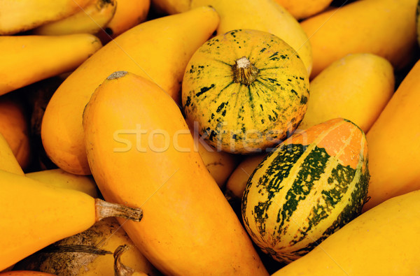 Zdjęcia stock: Kolorowy · halloween · żywności · strony · charakter