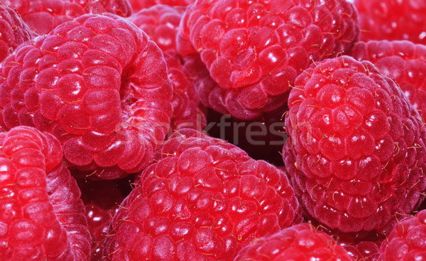 Frescos frambuesas frutas salud comer Foto stock © Ionia