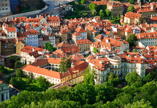 Vedere străzi Praga turn copac natură Imagine de stoc © Ionia