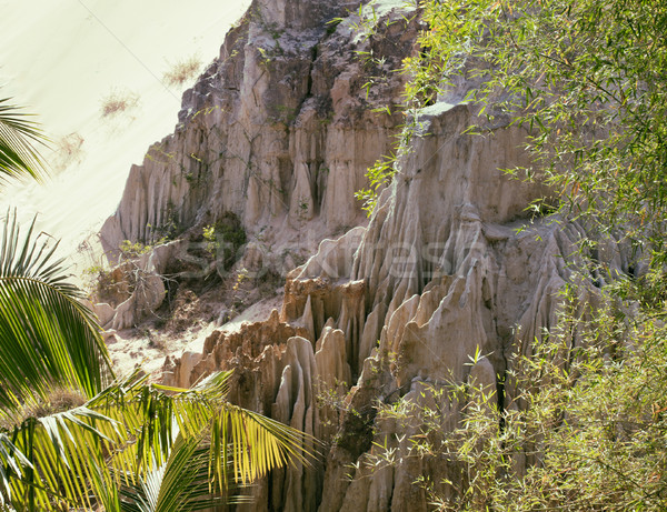 Groene landschap palmen wit zand rotsen fairy Stockfoto © iordani