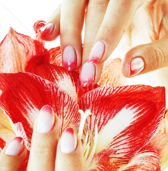 beauty delicate hands with pink Ombre design manicure holding re Stock photo © iordani