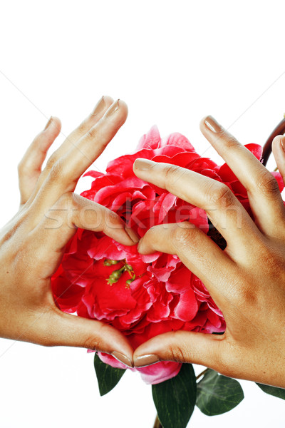beauty delicate hands with manicure holding flower lily close up isolated on white Stock photo © iordani