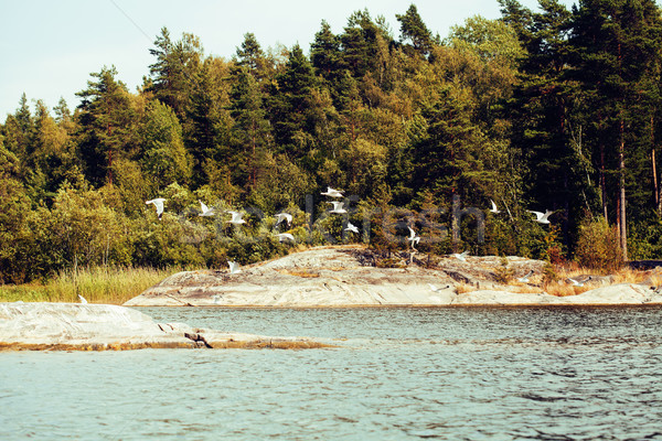 Kuzey doğa manzara kayalar göl Stok fotoğraf © iordani