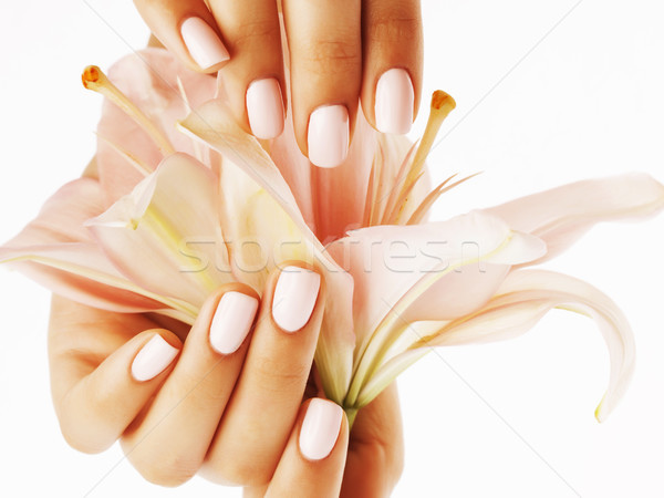 Schönheit Hände Maniküre halten Blume Lilie Stock foto © iordani
