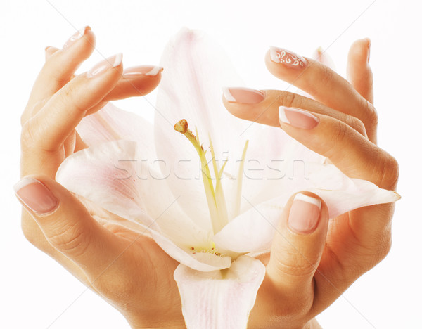 beauty delicate hands with manicure holding flower lily close up isolated on white Stock photo © iordani