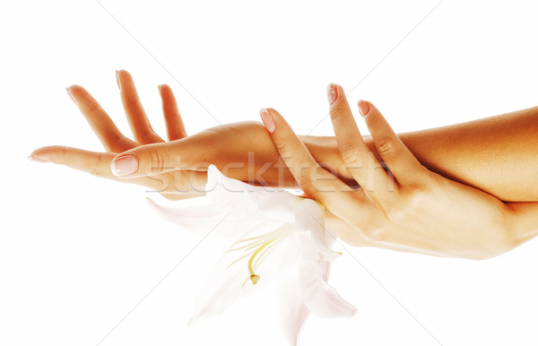 beauty delicate hands with manicure holding flower lily close up Stock photo © iordani