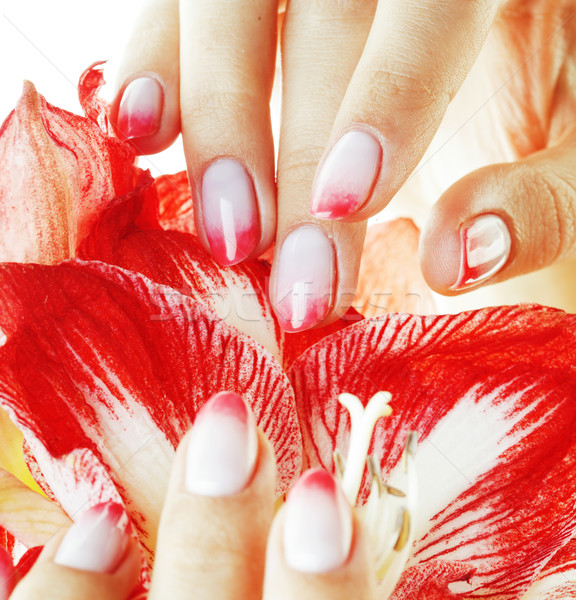 beauty delicate hands with pink Ombre design manicure holding re Stock photo © iordani
