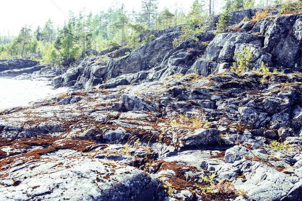 wild north nature landscape. lot of rocks on lake shore Stock photo © iordani