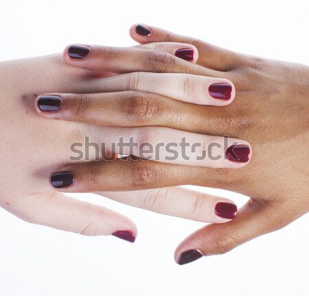 Manicured hands on white isolated, african with caucasian close up, connection diverse people concep Stock photo © iordani