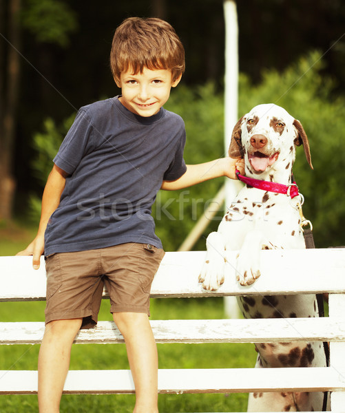 Piccolo cute ragazzo dalmata cane verde Foto d'archivio © iordani