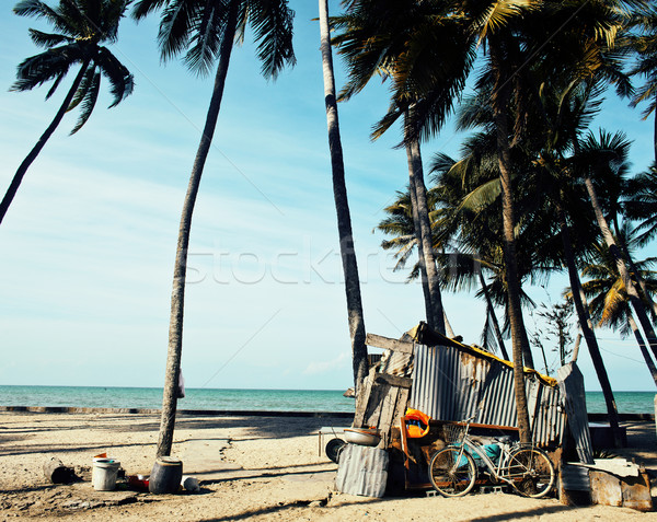 Stock photo: little vietnamese house on seacoast among palms and sand