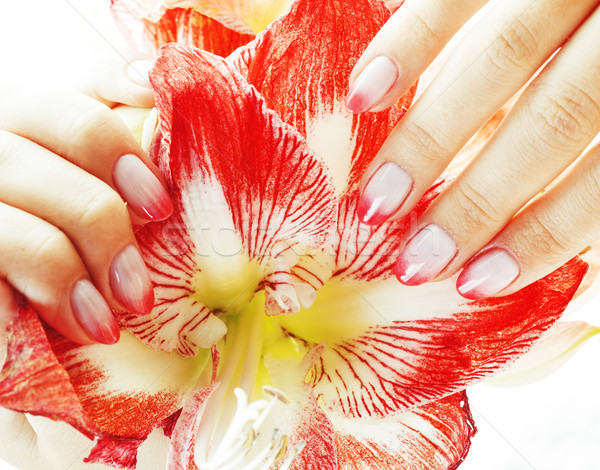 beauty delicate hands with pink Ombre design manicure holding re Stock photo © iordani