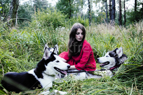woman in red dress with tree wolfs, forest, husky dogs mystery p Stock photo © iordani