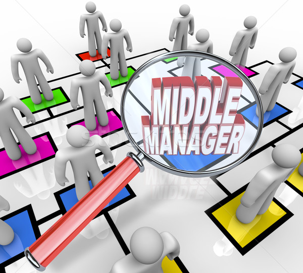 Middle Manager Management Organizational Chart  Stock photo © iqoncept