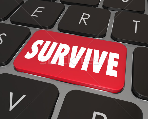 Survive Key Computer Keyboard Win Endure How to Advice Stock photo © iqoncept