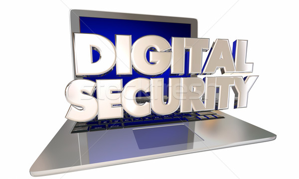 Digital Security Safeguard Private Personal Information Online L Stock photo © iqoncept