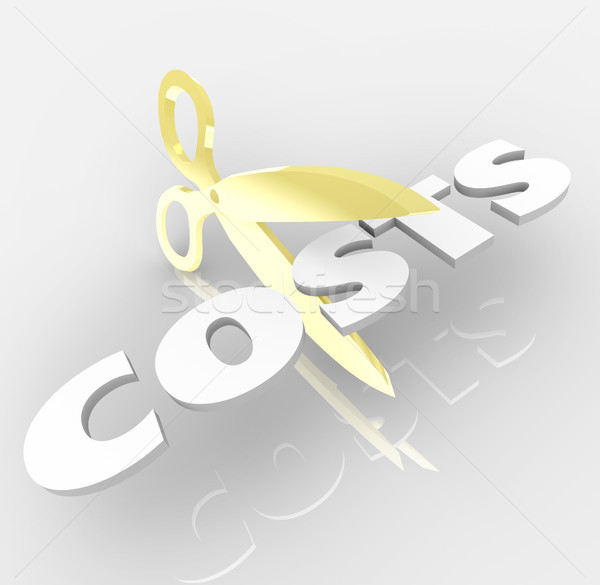 Cut Costs with Scissors Cutting Word Stock photo © iqoncept