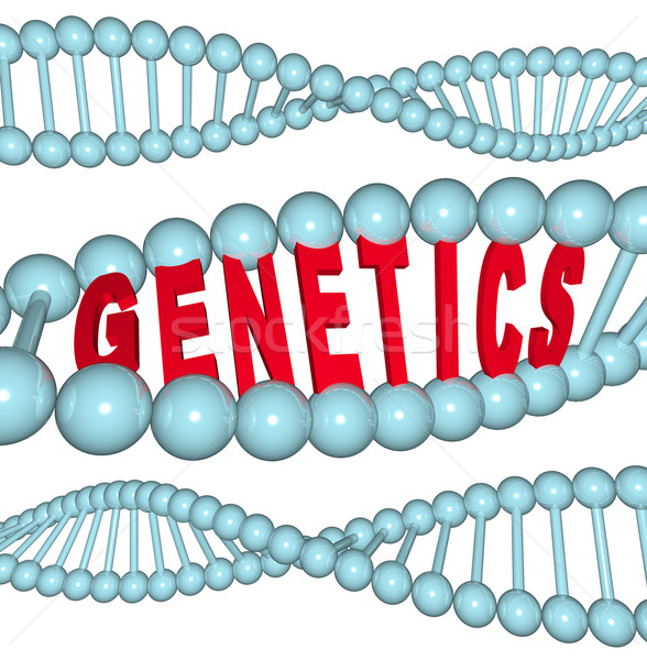 Genetics - Word in DNA Stock photo © iqoncept