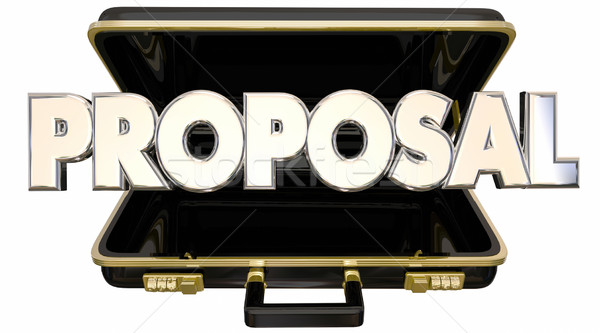 Proposal Presentation 3d Words Briefcase Sales Pitch Stock photo © iqoncept