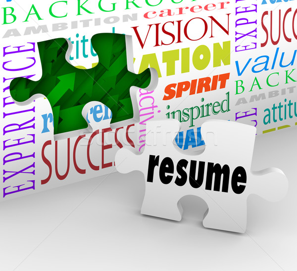 Resume Fill Opening New Position Job Interview Experience Stock photo © iqoncept