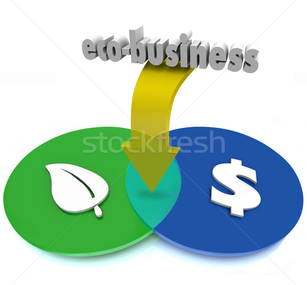 Diyagram yeşil sürdürülebilir para kelime Stok fotoğraf © iqoncept