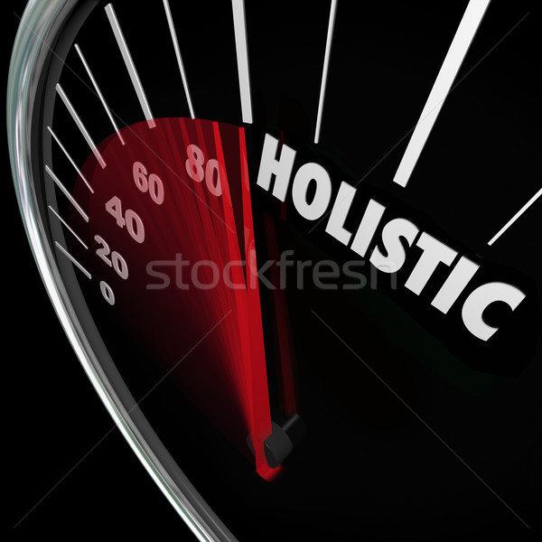 Holistische snelheidsmeter geest lichaam gezondheid evenwicht Stockfoto © iqoncept