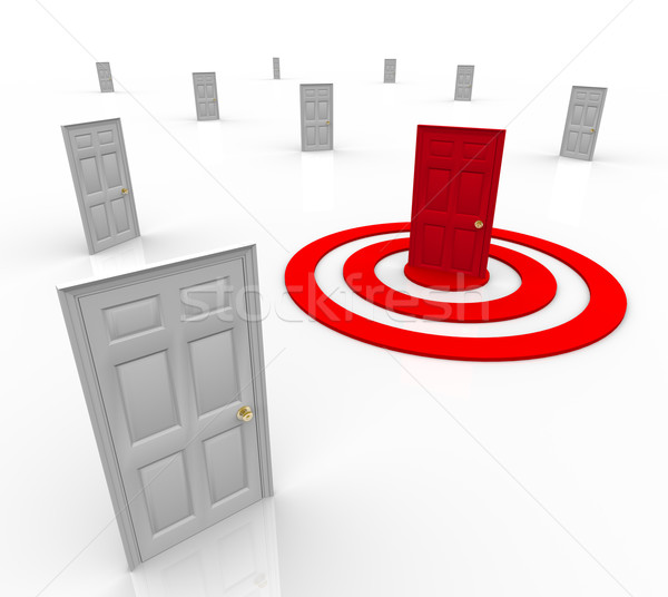 One Targeted Door Address in Bulls-Eye Target Marketing Stock photo © iqoncept