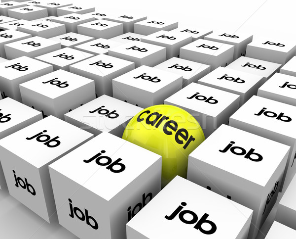 Career Vs Job  Sphere Cubes Work Opportunity Growth Development Stock photo © iqoncept
